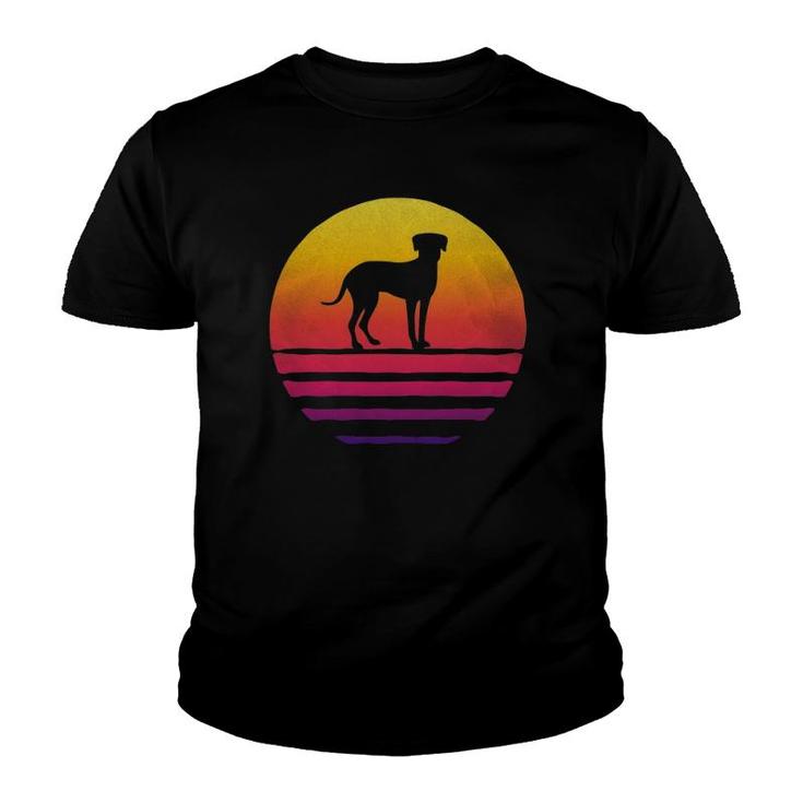 Retro Vintage Sunset Catahoula Leopard Dog Silhouette Gift Youth T-shirt