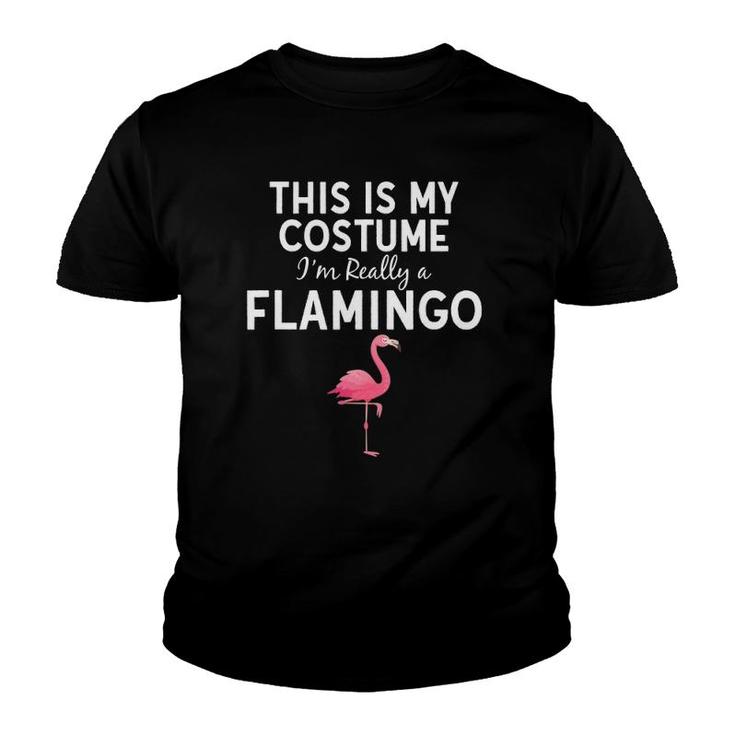 This Is My Costume I'm A Flamingo Halloween Costume Funny Youth T-shirt