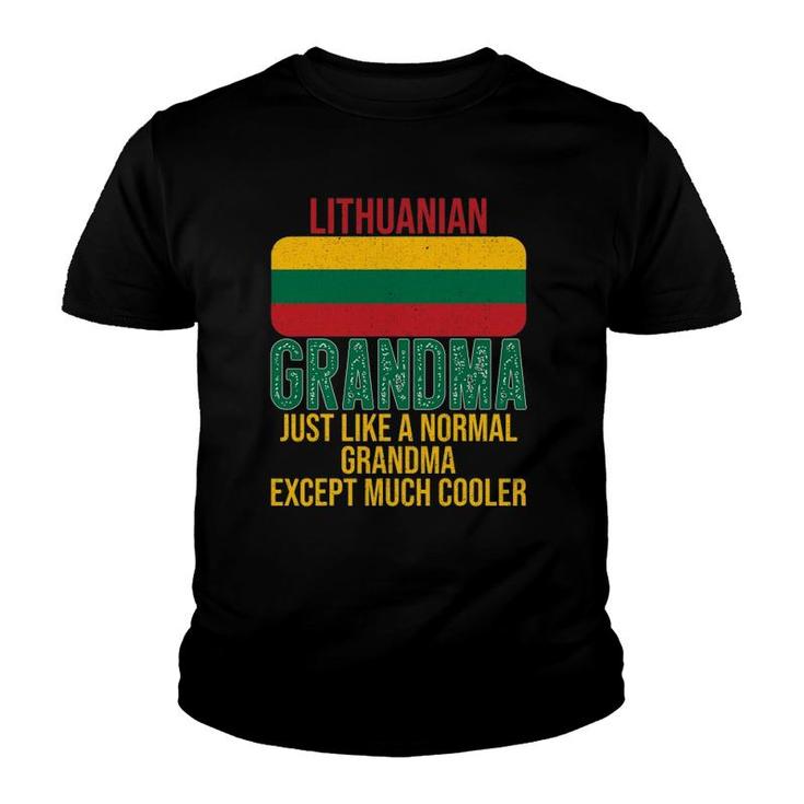 Vintage Lithuanian Grandma Lithuania Flag For Mother's Day Youth T-shirt