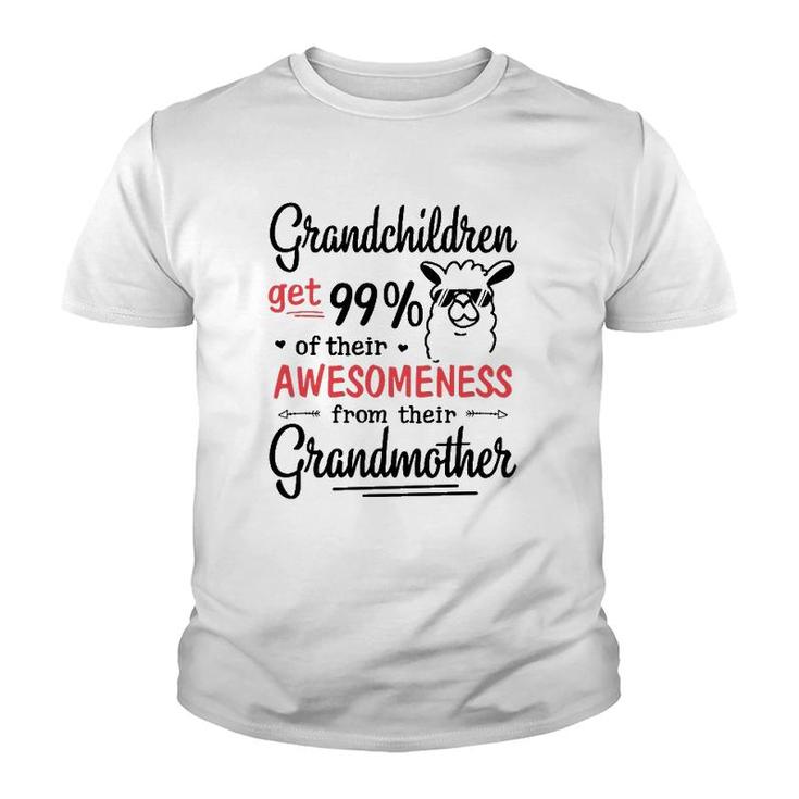 Grandchildren Get 99 Of Their Awesomeness From Their Grandmother Llama Version Youth T-shirt