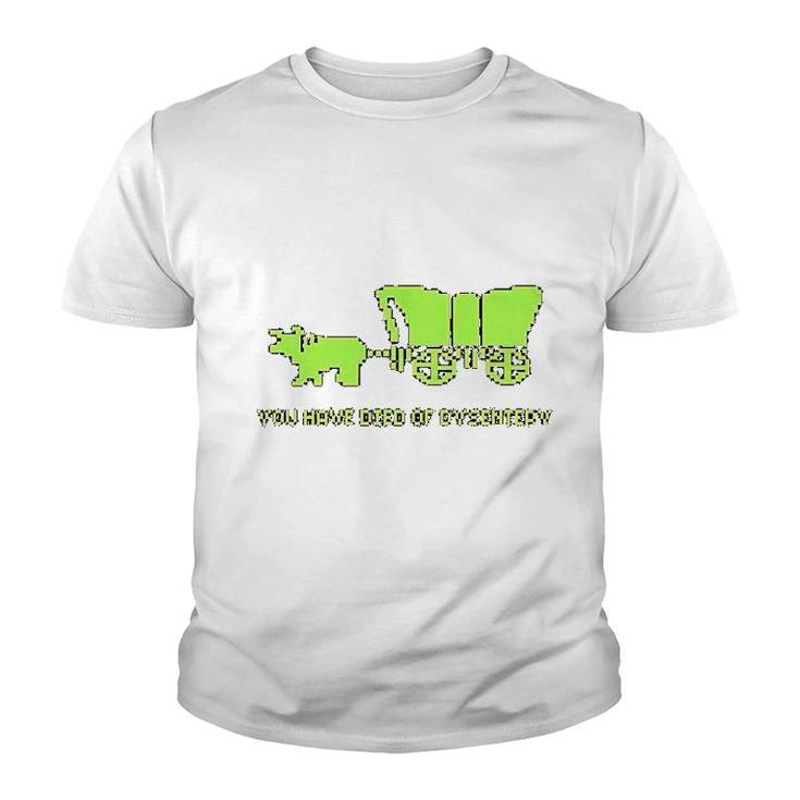 You Have Died Of Dysentery Youth T-shirt