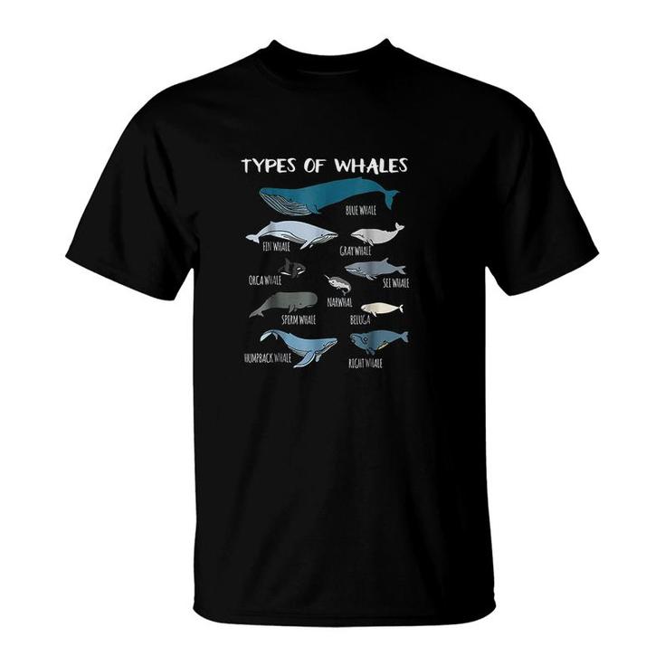 Types Of Whales Cute Ocean Mammals Guide T-Shirt | Mazezy