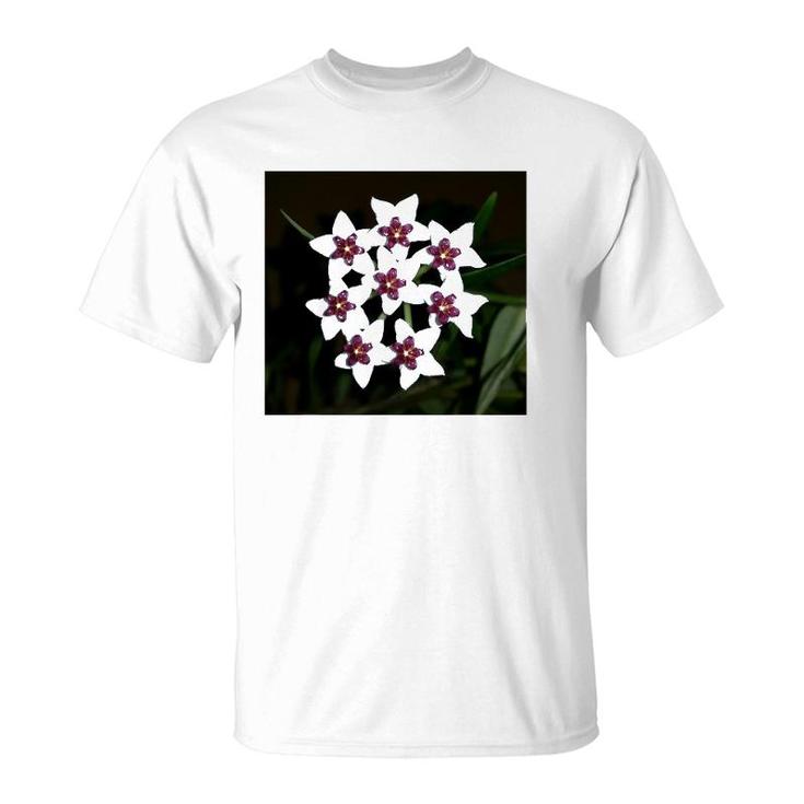 Funny Hoya Flowers Succulent Gardening Plant T-Shirt